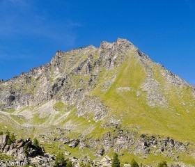 Mont Favret